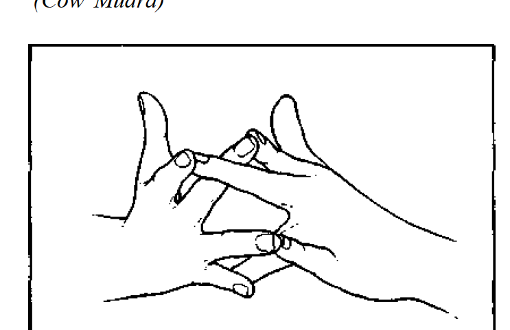 surabhi cow mudra