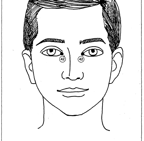 13 face
