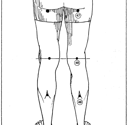 15 back of legs