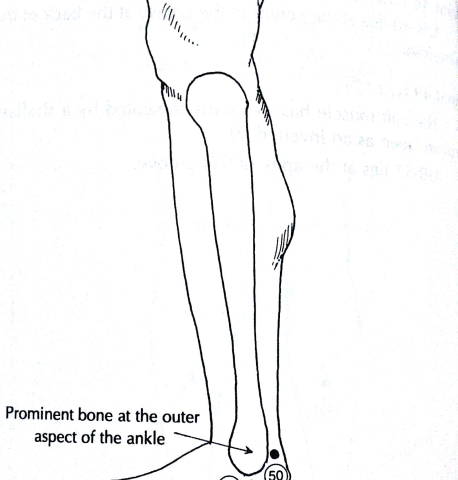 16 outer side of leg