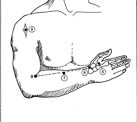 2 forearm & front of shoulder