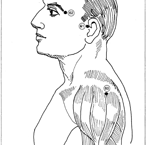 20 side of face and shoulder