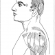 20 side of face and shoulder