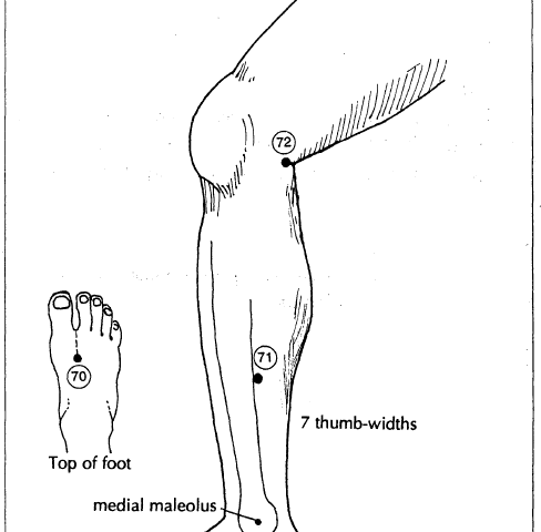 23 inner side of leg and knee