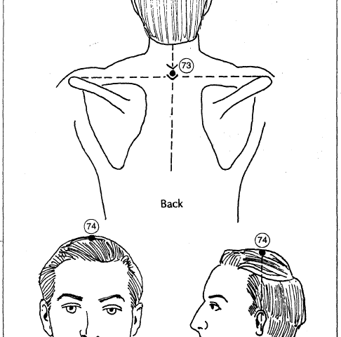 24 head and face