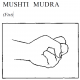 24 mushti fist mudra