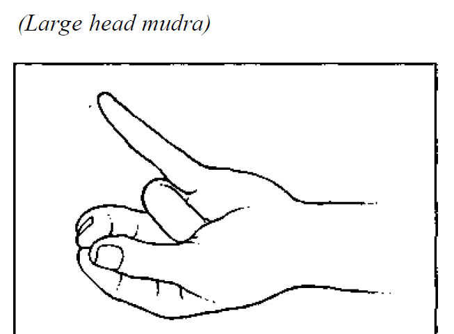 mahasir mudka mudra