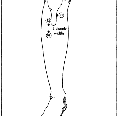 29 front of leg