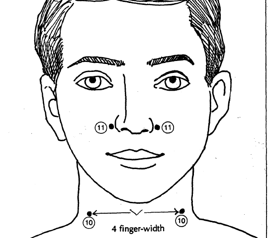 3 face and front of neck