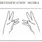 32 detoxification mudra