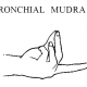 4 bronchial mudra