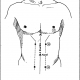 5 chest and abdomen