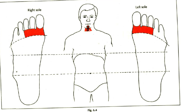 6.4 & 5 neck problems img