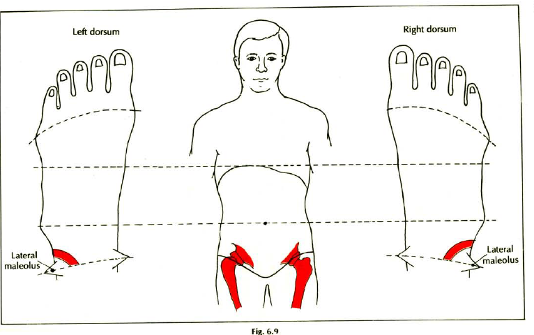 6.9 hip joint pain stiffness img