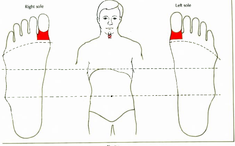 7.4 larynx pain in the throat img