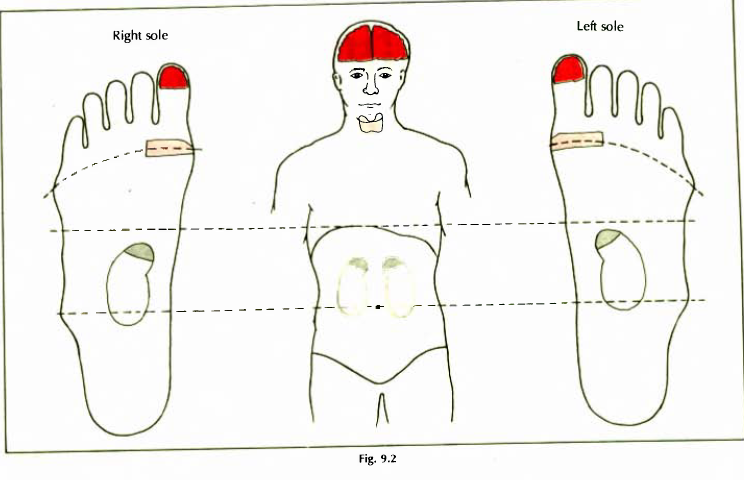 Foot Reflexology High BP Low BP – Learn Self Healing Techniques Online