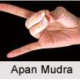 apana mudra