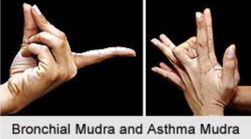 bronchial and ashtama mudra