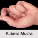 kubera mudra