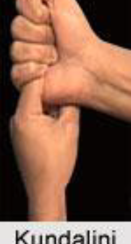 kundalini mudra