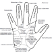 palmistry 7