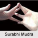 surabhi mudra