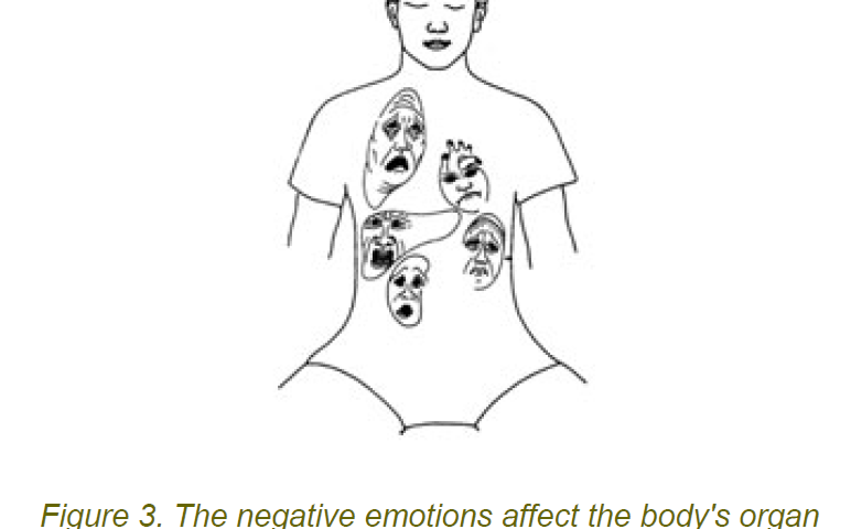 3 negative emotions affect on bodys organ systems