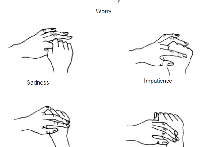 3.12 fingers to emotions elements & organs