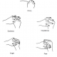 3.12 fingers to emotions elements & organs
