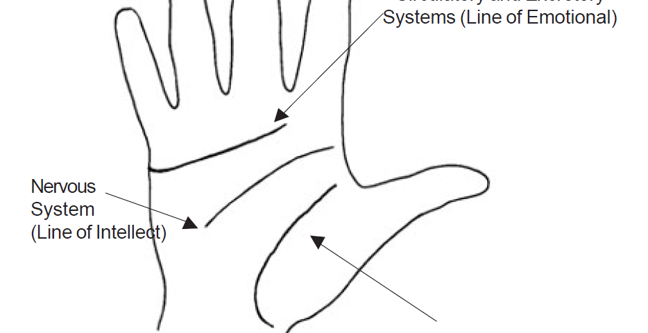 3.3 three major palm lines