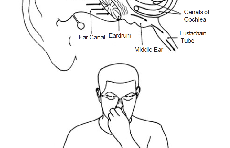 4.33 inner ear drum massage