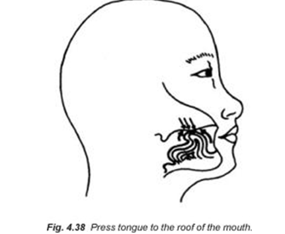 4.38 press tongue to the roof of the mouth