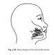 4.38 press tongue to the roof of the mouth
