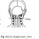 4.5 from hairline to base of skull
