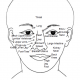 4.9 corresponding organs to head and face