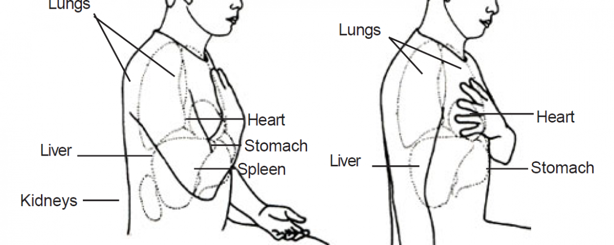 5.2 slap at heart lungs and liver areas