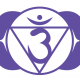 6 brow ajna chakra