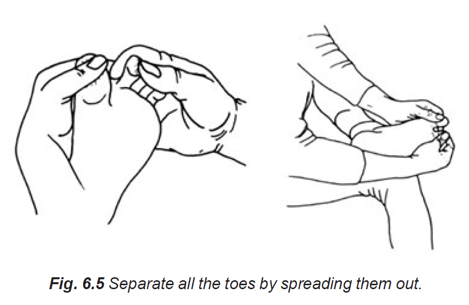 6.5 seperate toes by spreading out