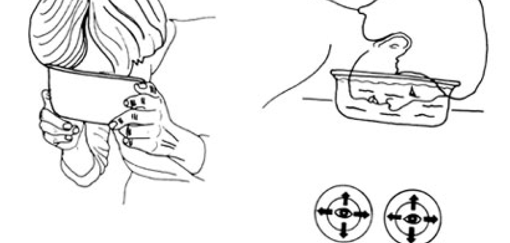 8.14 clean out the eyes nose and face