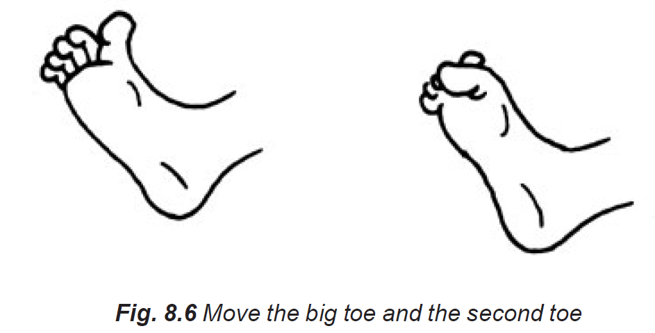 8.6 move big & second toe to rub against each other back & forth