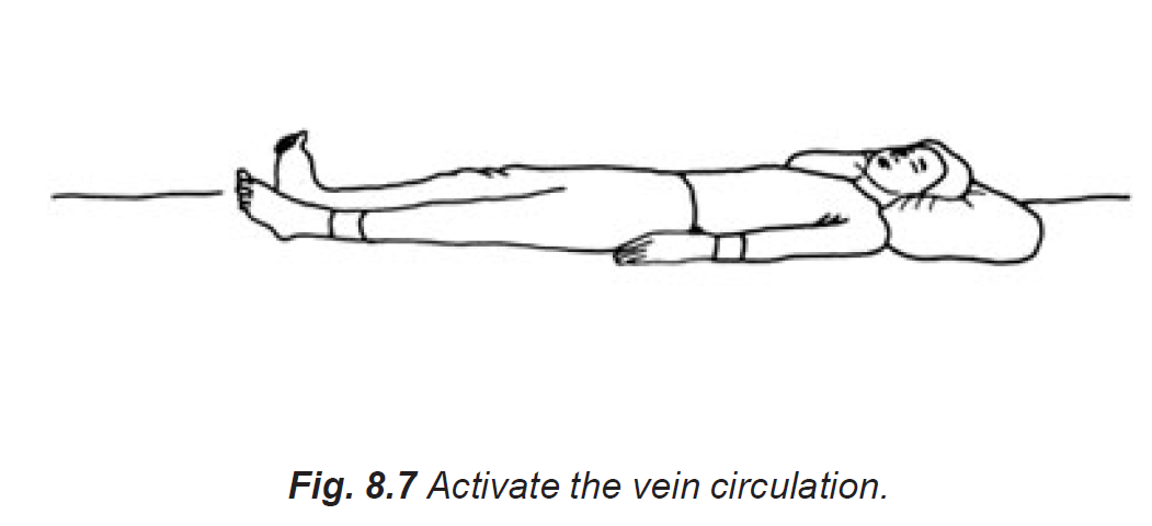 8.7 activate the vein circulation