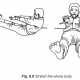 8.8 stretch the whole body