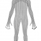 body zones