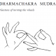 dharmachakra mudra 49