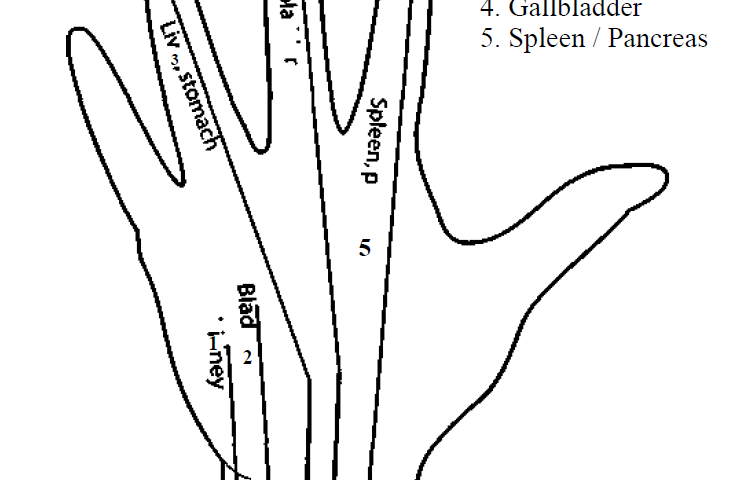 meridians and deep meridians 1