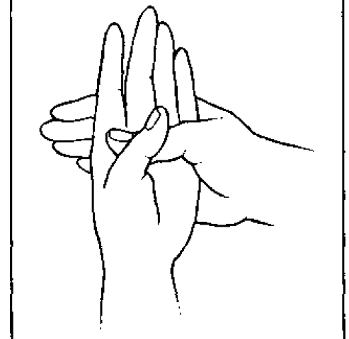 naga mudra 51