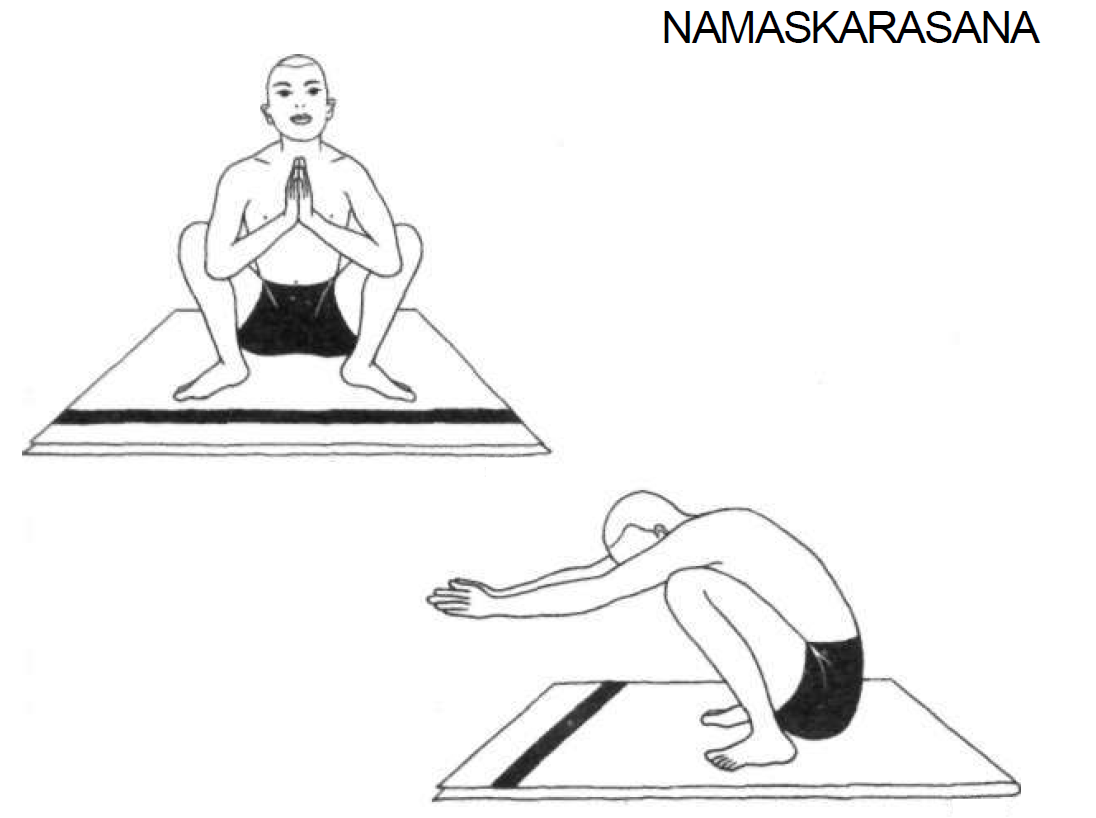 namaskarasana salutation pose 6