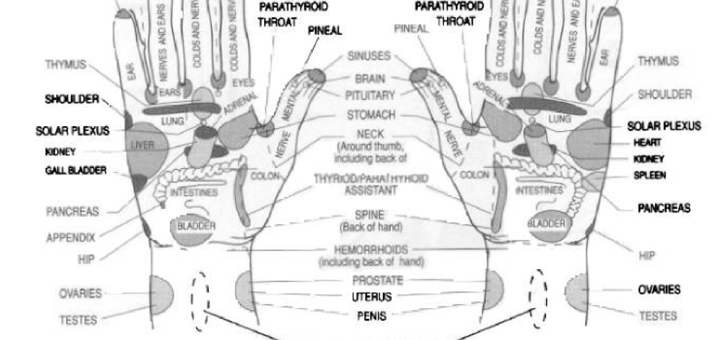 organs to hand reflexology