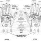 organs to hand reflexology