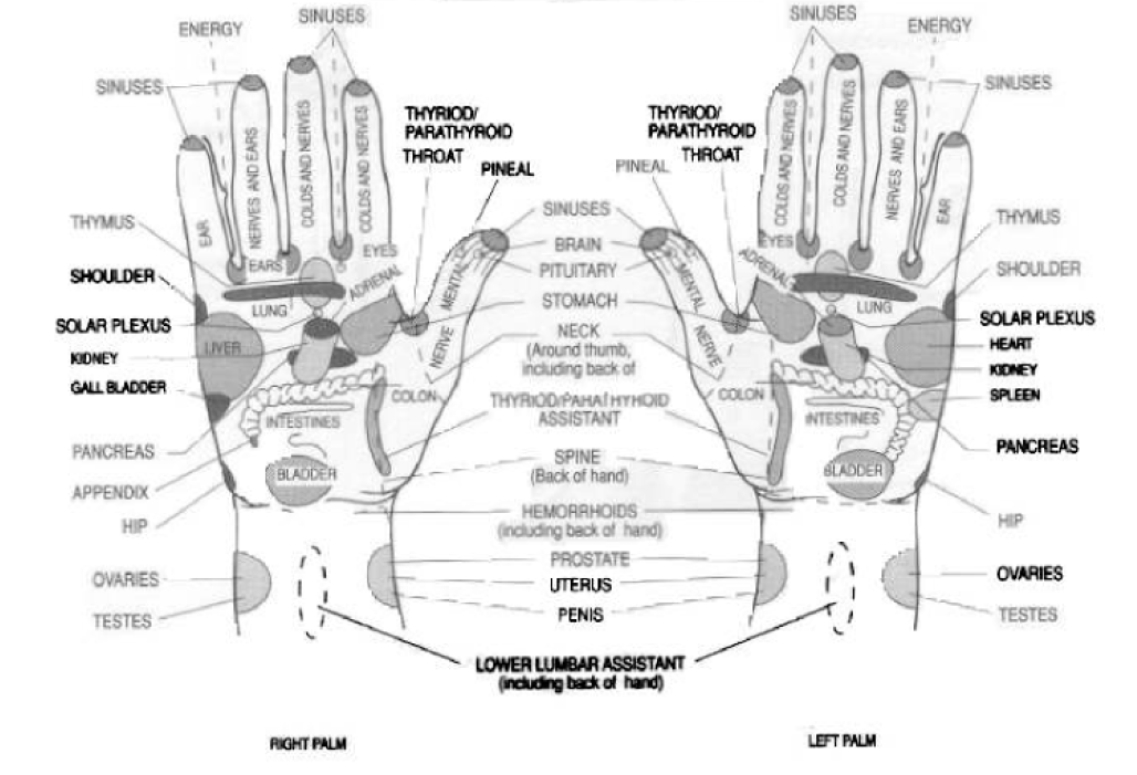 organs to hand reflexology